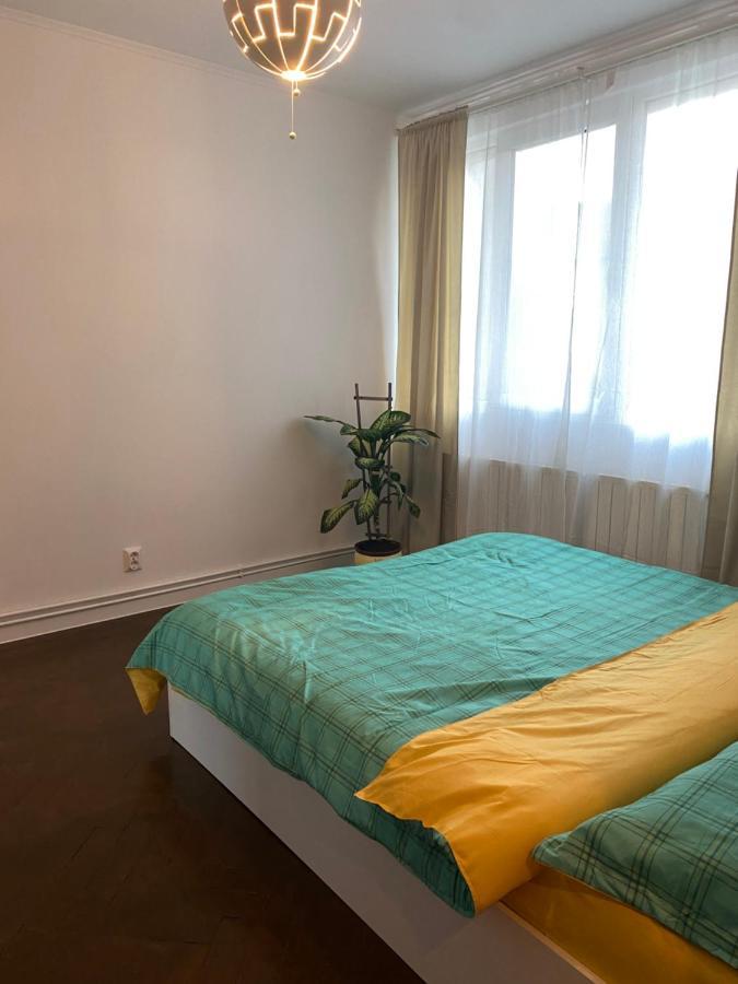 Zaza Apartament - Central Area, With Balcony Targu Jiu Luaran gambar